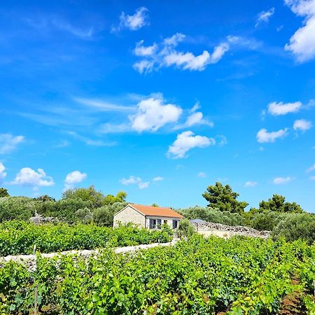 Stone House In Vineyard Villa Racisce Luaran gambar
