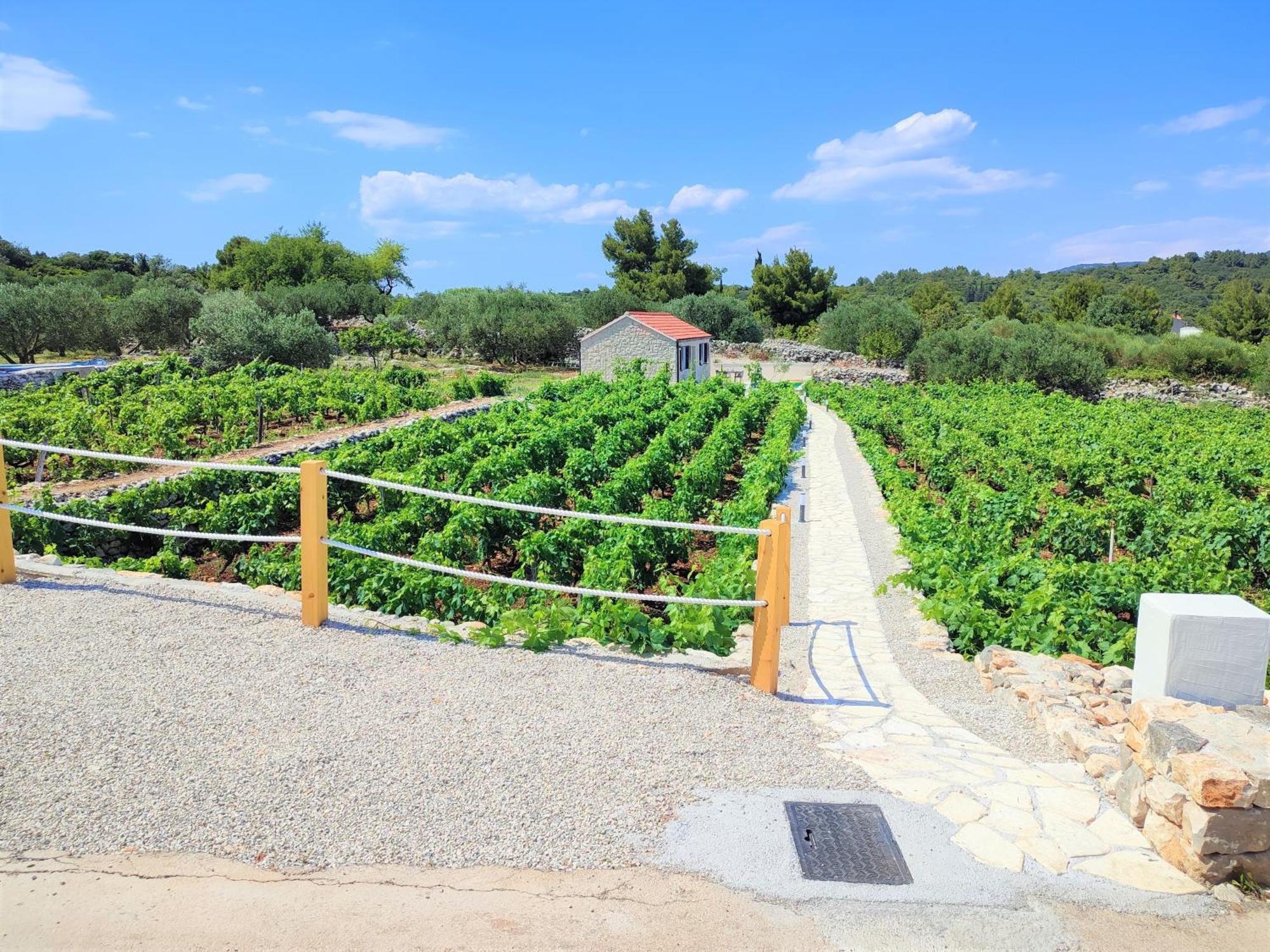 Stone House In Vineyard Villa Racisce Luaran gambar