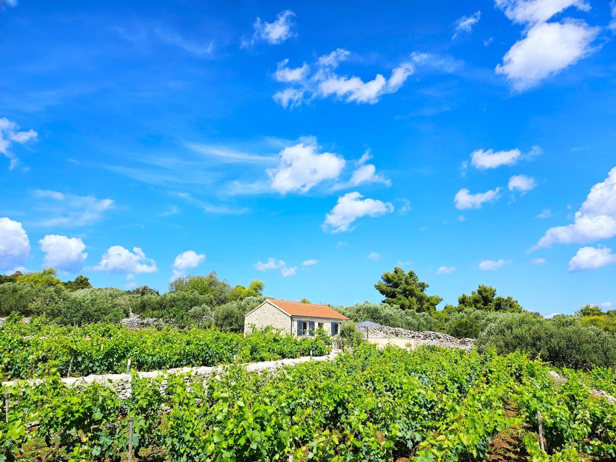 Stone House In Vineyard Villa Racisce Luaran gambar