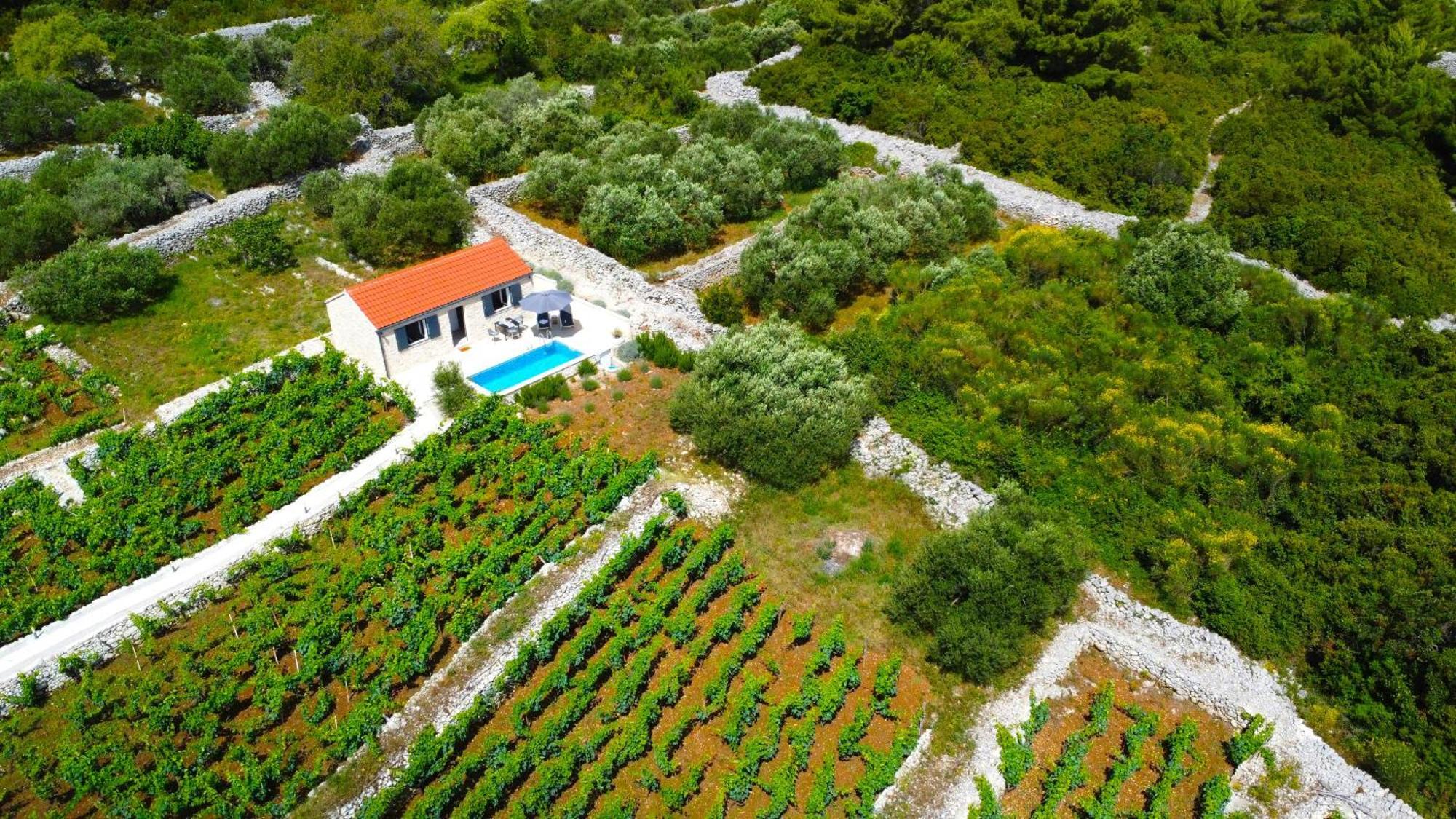 Stone House In Vineyard Villa Racisce Luaran gambar